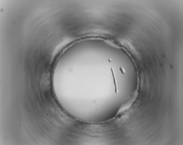 X0000089431164200707061336