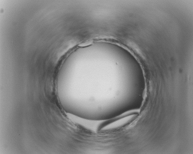 X0000089431165200707061336