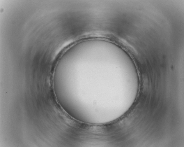 X0000089431166200707061336