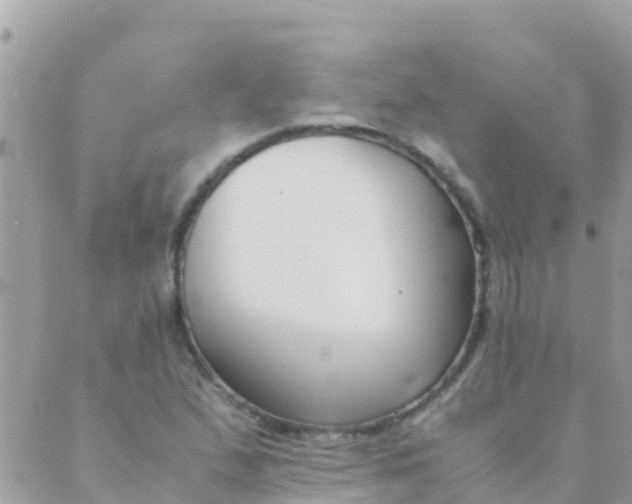 X0000089431167200707061336