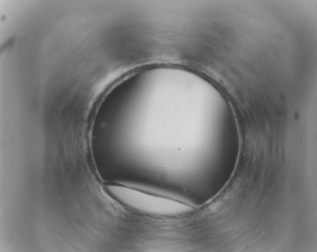 X0000089431168200707061336