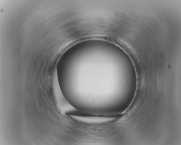 X0000089431169200707061336