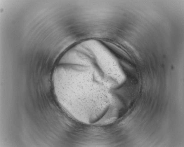 X0000089431170200707061336