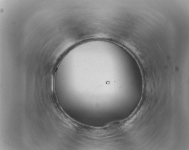 X0000089431171200707061336