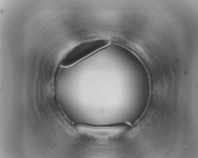 X0000089431172200707061336