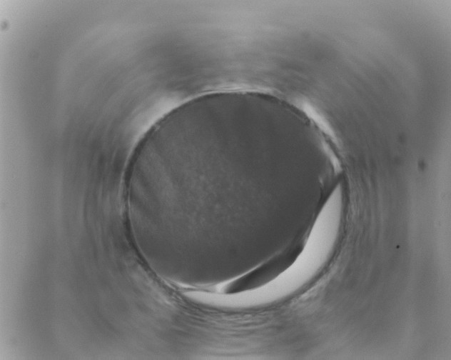 X0000089431173200707061336