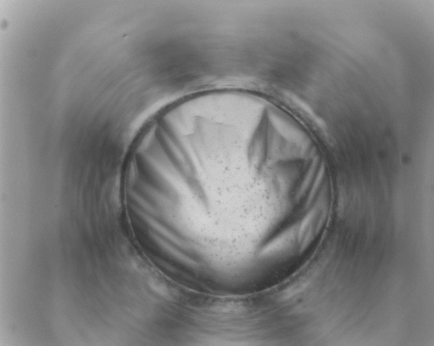 X0000089431174200707061336