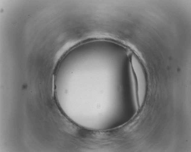 X0000089431175200707061336