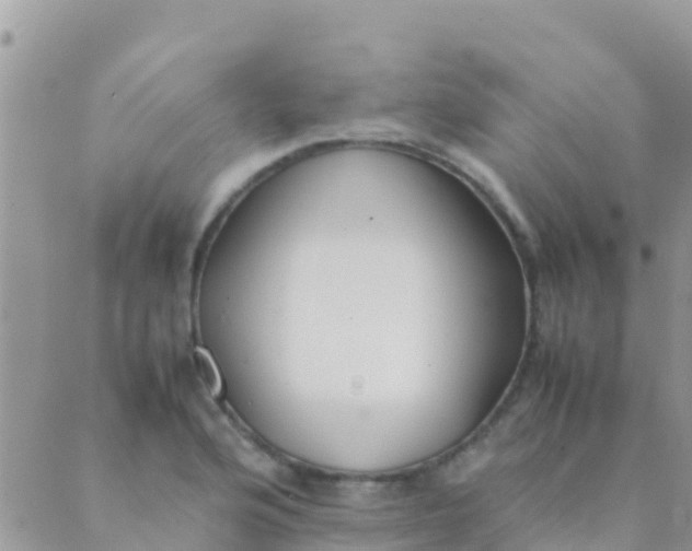 X0000089431176200707061336