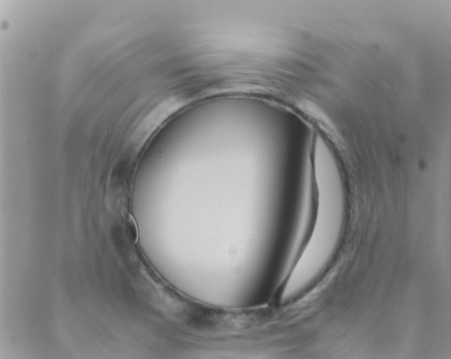 X0000089431177200707061336