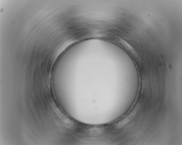 X0000089431178200707061336