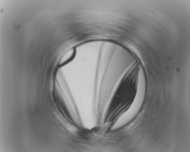 X0000089431179200707061336