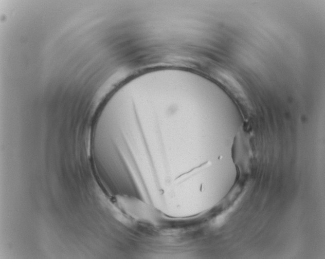 X0000089431180200707061336