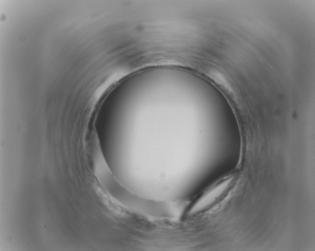 X0000089431181200707061336