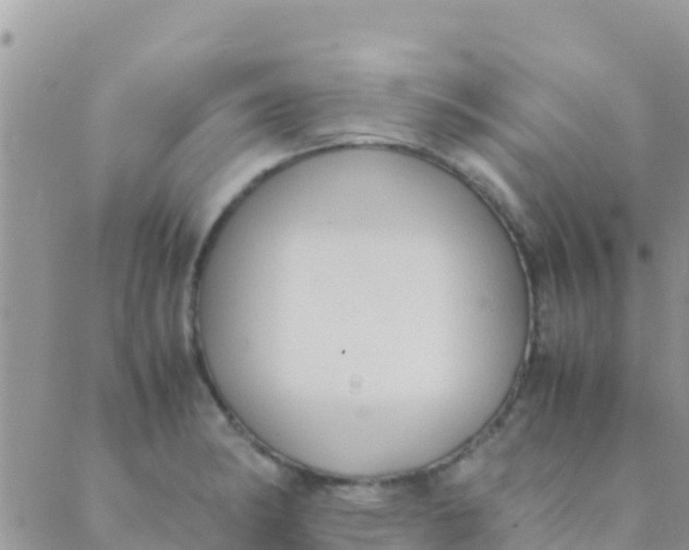 X0000089431182200707061336