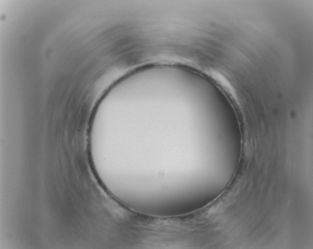 X0000089431183200707061336