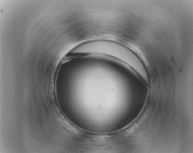 X0000089431184200707061336