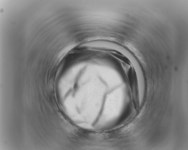 X0000089431185200707061336