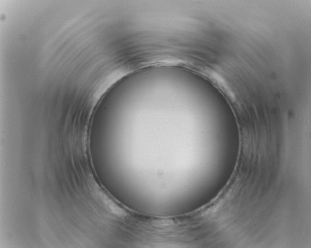 X0000089431186200707061336