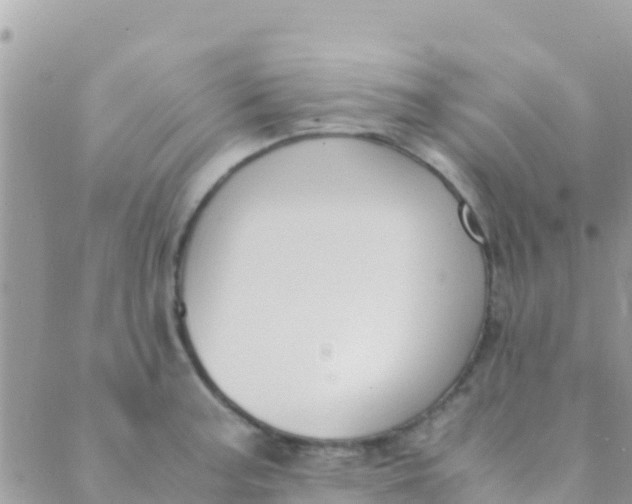 X0000089431187200707061336