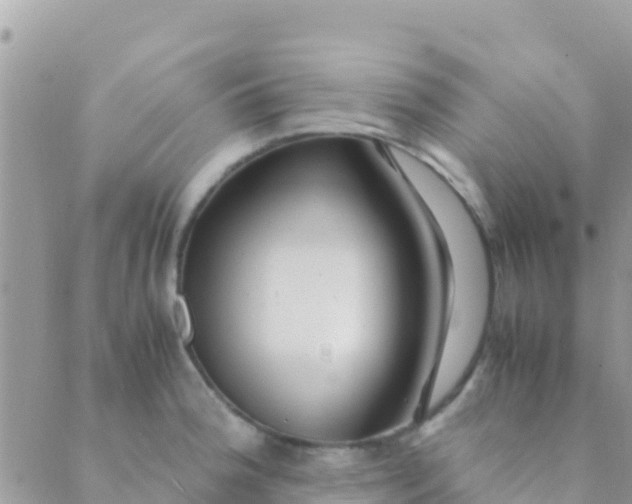 X0000089431188200707061336