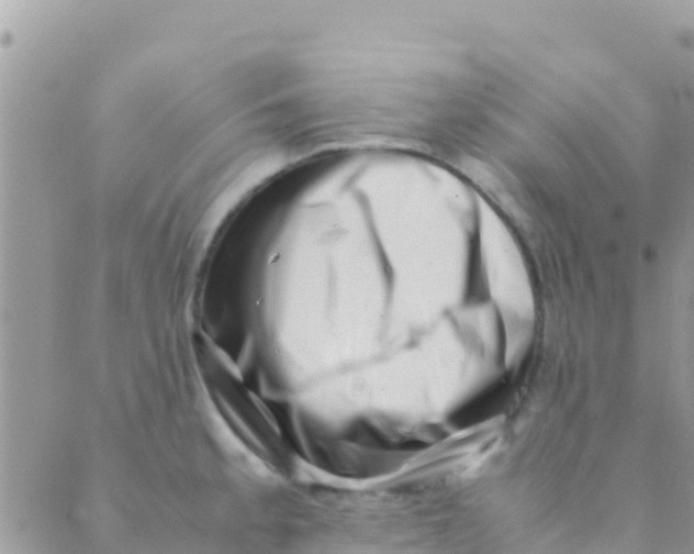 X0000089431189200707061336