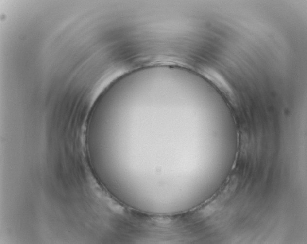 X0000089431190200707061336