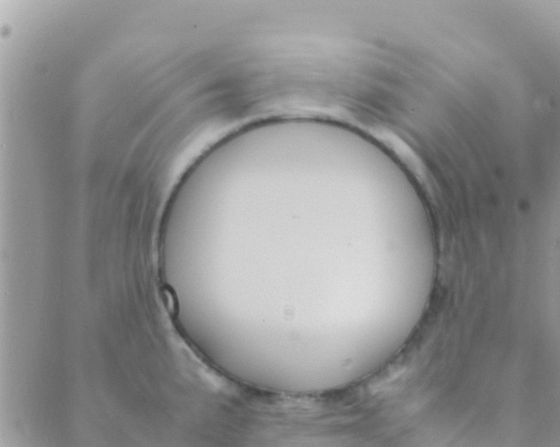 X0000089431191200707061336