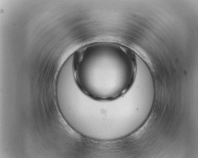 X0000089431192200707061336