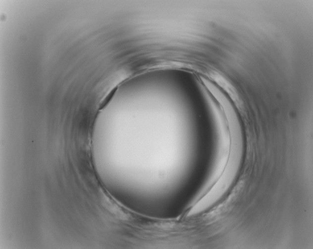 X0000089431193200707061336