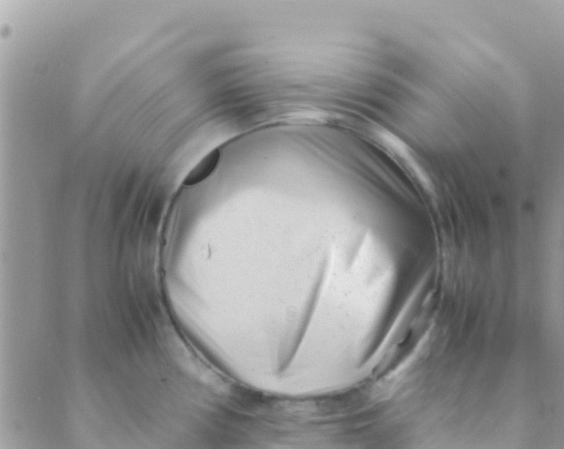 X0000089431194200707061336