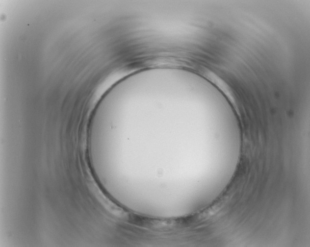 X0000089431195200707061336