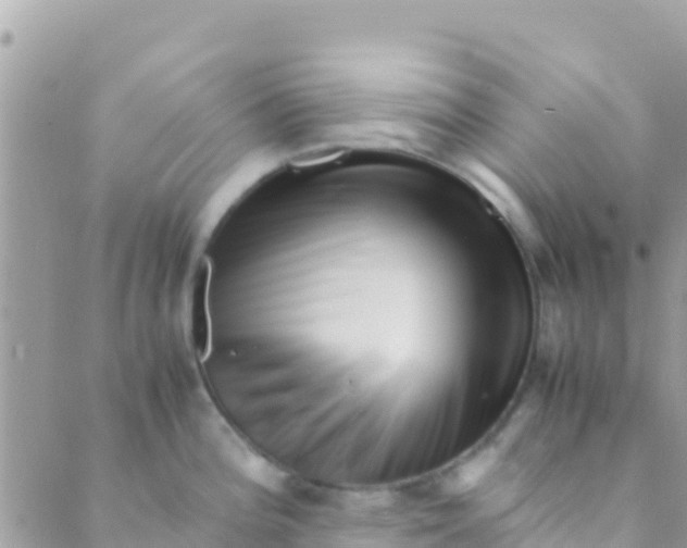 X0000089431196200707061336