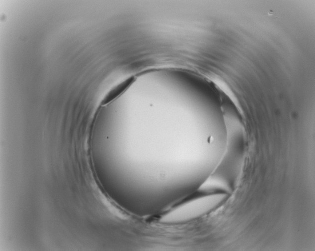 X0000089431197200707061336