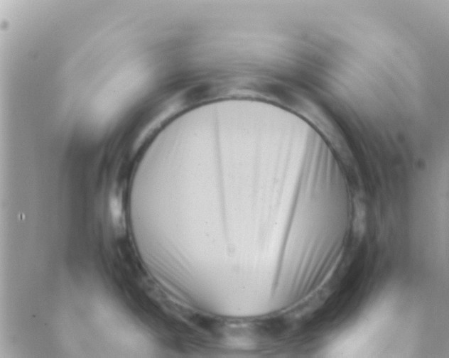 X0000089431198200707061336