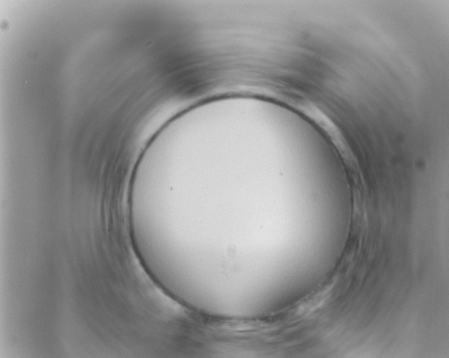 X0000089431199200707061336