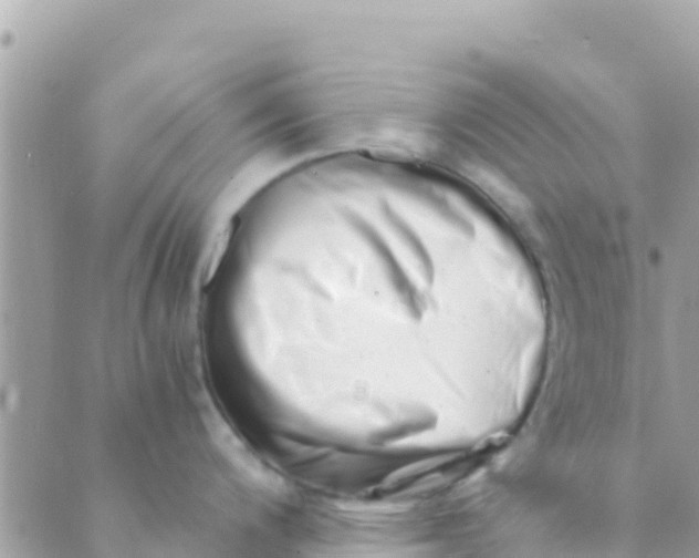 X0000089431200200707061336