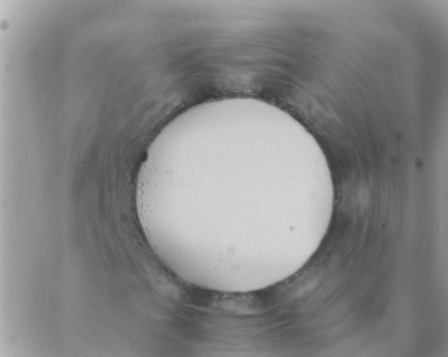 X0000089431201200707061335