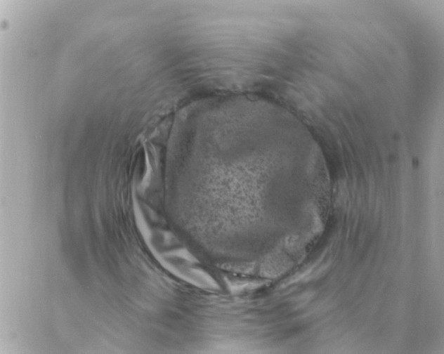 X0000089431202200707061335