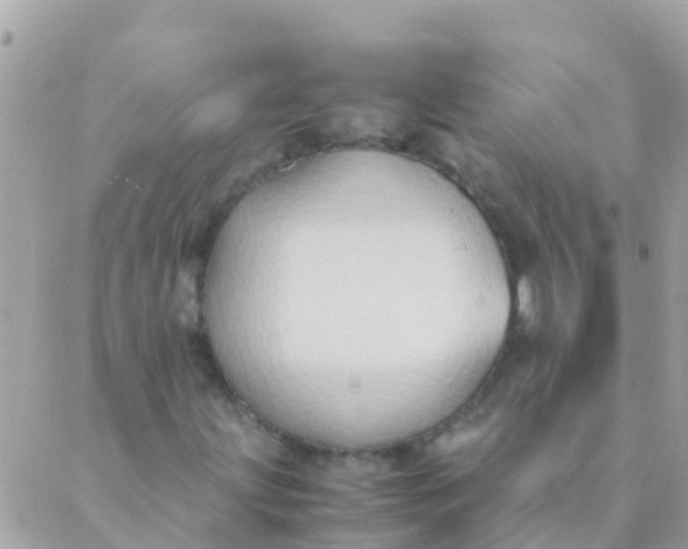 X0000089431203200707061335