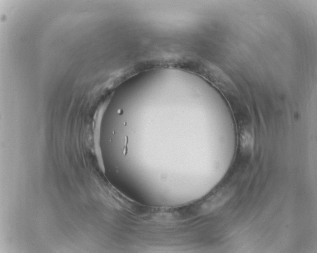 X0000089431204200707061335