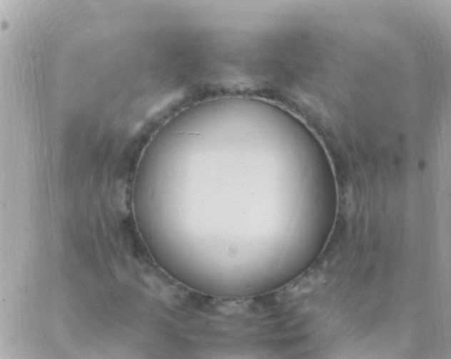 X0000089431205200707061335