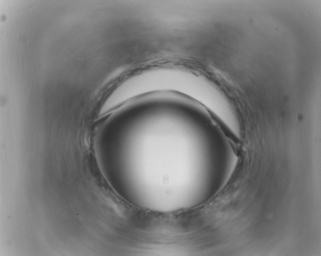 X0000089431206200707061335