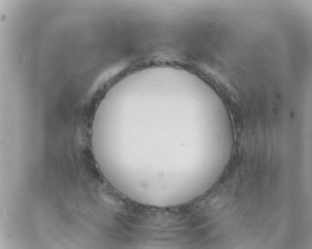 X0000089431207200707061335