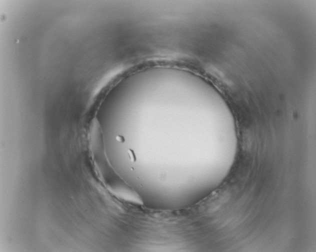 X0000089431208200707061335