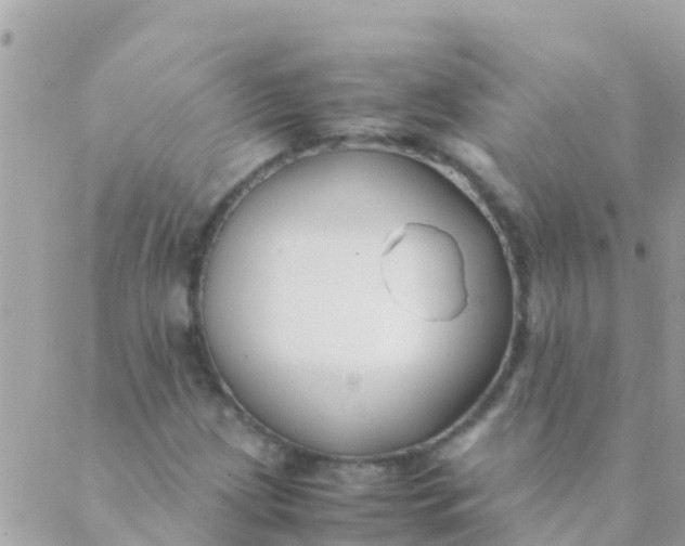 X0000089431209200707061335