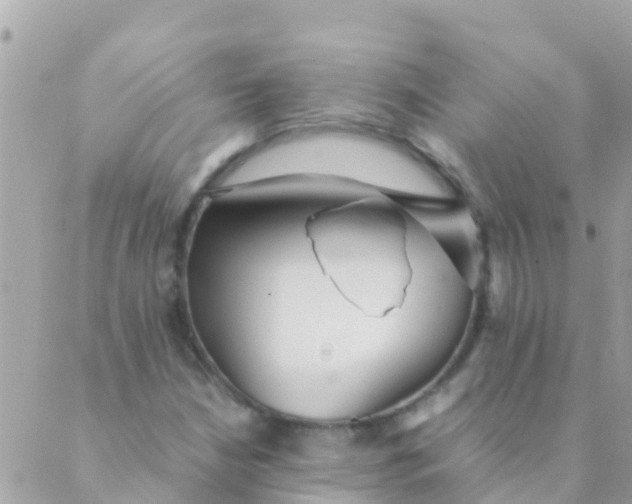 X0000089431210200707061335