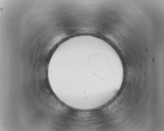 X0000089431211200707061335