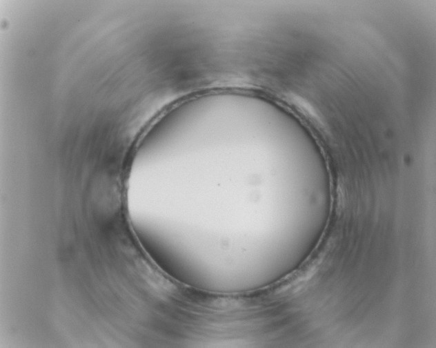 X0000089431212200707061335