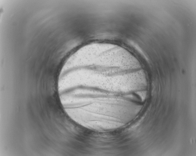 X0000089431213200707061335